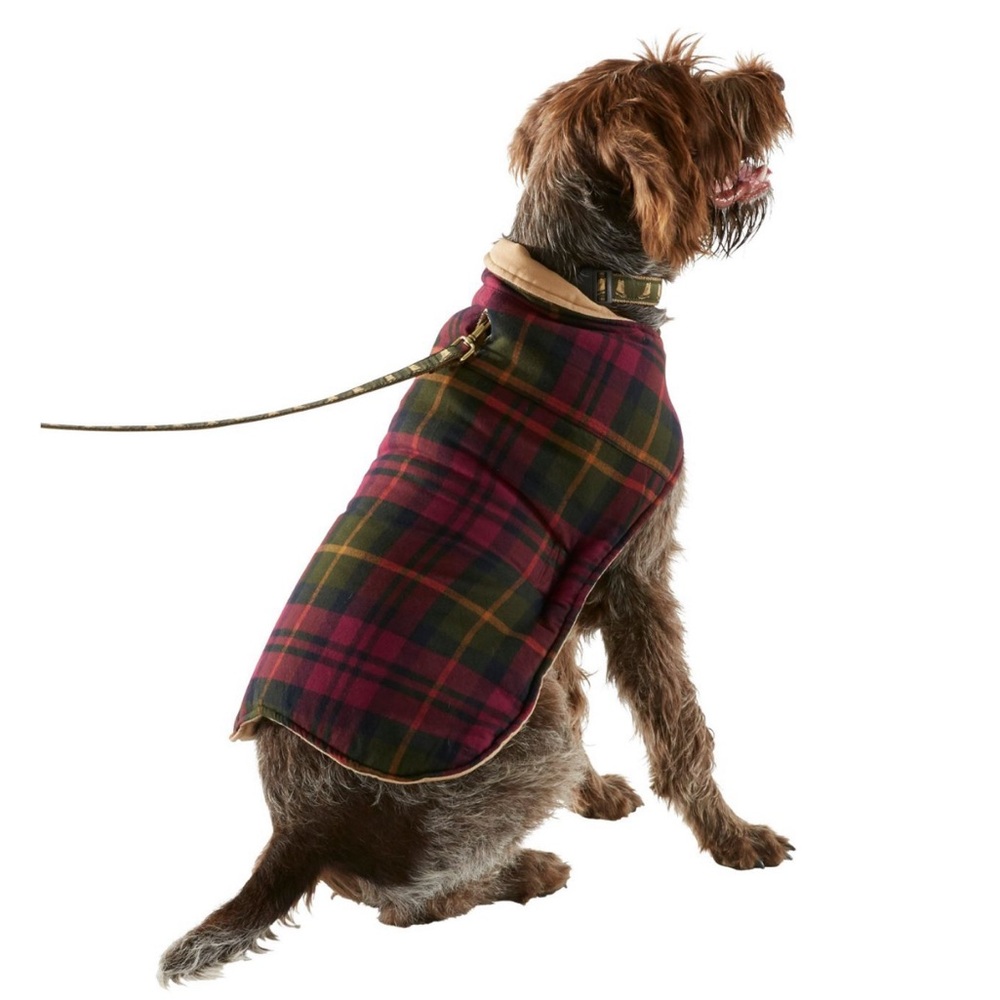 LLBean Reversible Dog Coat